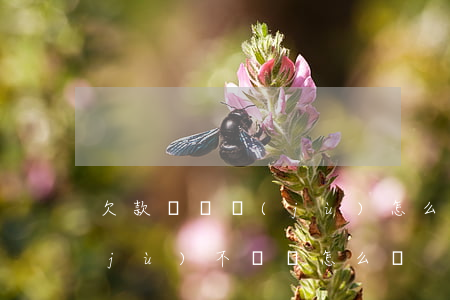 欠款沒證據(jù)怎么處理(欠錢沒證據(jù)不還錢怎么辦?)