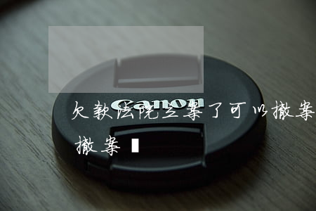 欠款法院立案了可以撤案嗎(法院立案后還能撤案嗎)