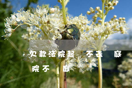 欠款法院起訴不去開庭會怎樣（欠錢起訴到法院不開庭）