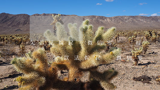 欠款法院起訴微信零錢會被凍結(jié)嗎-欠款法院起訴微信零錢會被凍結(jié)嗎怎么辦
