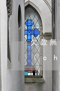 欠款無(wú)力償還占用財(cái)產(chǎn)(因欠款不還,占有對(duì)方財(cái)產(chǎn))