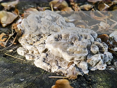 欠款無(wú)力償還物質(zhì)抵押-債務(wù)人不還錢(qián)抵押物如何處分