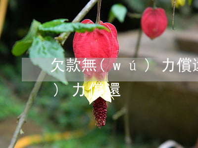 欠款無(wú)力償還的危害(欠債無(wú)力償還)