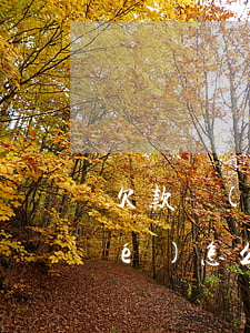 欠款無(wú)力償還銀行卡被凍結(jié)怎么辦-欠款無(wú)力償還銀行卡被凍結(jié)怎么辦呢