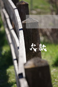 欠款無力償還吃低保(低保戶欠錢不還)
