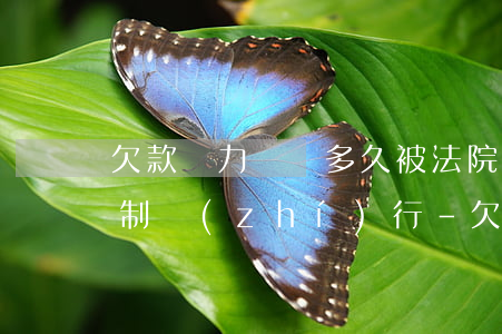欠款無力償還多久被法院強(qiáng)制執(zhí)行-欠款無力償還多久被法院強(qiáng)制執(zhí)行了