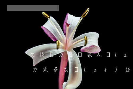 欠款無力償還家人責(zé)怪(欠款人沒能力父母有責(zé)任還款嗎)