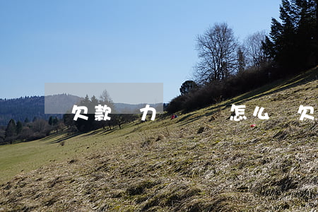 欠款無力償還會怎么樣(欠的錢無力償還怎么辦)