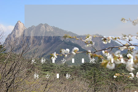 欠款無力償還被上訴(債務(wù)被起訴沒能力還款)