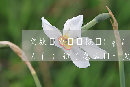 欠款無力償還被強(qiáng)制執(zhí)行了怎么辦-欠款無力償還被強(qiáng)制執(zhí)行了怎么辦呢