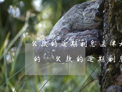 欠款的逾期利息法律是怎么規(guī)定的-欠款的逾期利息法律是怎么規(guī)定的呢