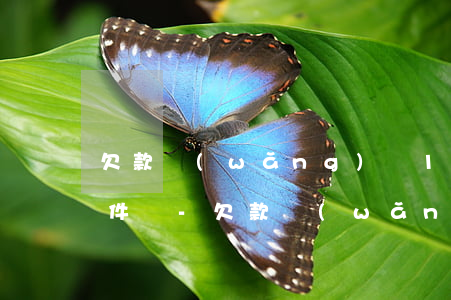 欠款網(wǎng)貸1500元夠起訴條件嗎-欠款網(wǎng)貸1500元夠起訴條件嗎是真的嗎