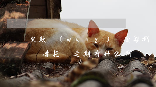 欠款網(wǎng)貸逾期影響買摩托上牌嗎(摩托車逾期有什么影響)