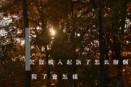 欠款被人起訴了怎么辦(個人欠款被起訴到法院了會怎樣)
