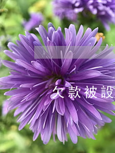 欠款被設(shè)置彩鈴（欠款逾期彩鈴）