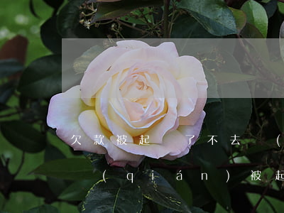 欠款被起訴了不去開(kāi)庭可以嗎（欠錢(qián)被起訴不去法庭）