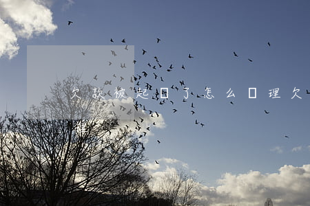 欠款被起訴了 怎么處理(欠款被起訴了 怎么處理)
