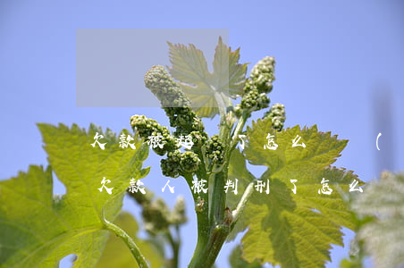 欠款被起訴了怎么辦會(huì)被判刑嗎(欠款人被判刑了怎么辦)