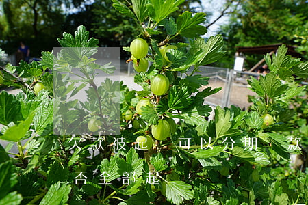 欠款被起訴可以分期還款嗎（分期還款逾期能否全部起訴）