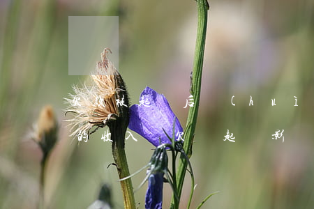 欠款被起訴后會(huì)影響夫妻另一半的收入嗎（欠錢起訴影響夫妻父母么）