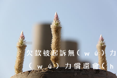 欠款被起訴無(wú)力償還 欠款被起訴無(wú)力償還會(huì)連帶父母兄弟嗎
