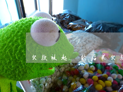 欠款被起訴的后果(欠款被起訴的后果有哪些)