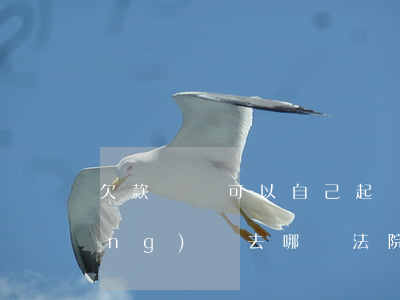 欠款訴訟可以自己起訴嗎(欠款起訴應(yīng)該去哪個法院起訴)