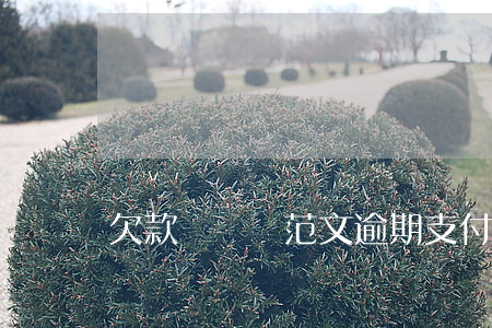 欠款訴訟書范文（逾期支付欠款起訴狀的范文）