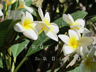 欠款請(qǐng)律師多少錢(qián)(欠款請(qǐng)律師多少錢(qián)2000會(huì)怎么樣)