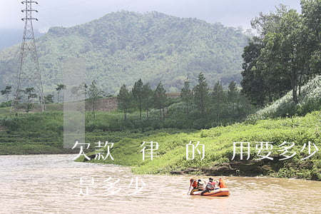 欠款請律師的費用要多少(欠款請律師的費用是多少錢)