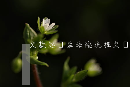 欠款起訴后法院流程（欠錢起訴后怎么還錢）