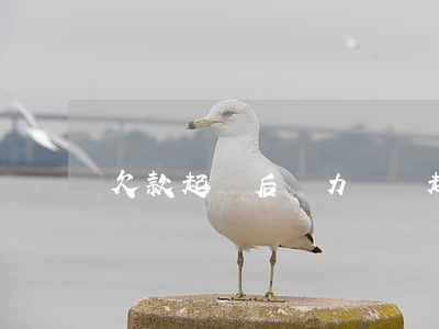 欠款起訴后無力償還（起訴后無力償還）