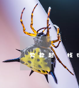 欠款起訴找律師（欠錢被起訴后找律師）