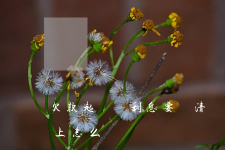欠款起訴書利息要寫清嗎（逾期利息在起訴書上怎么寫）