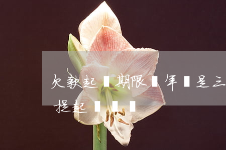 欠款起訴期限兩年還是三年(欠款3年還可以提起訴訟嗎?)