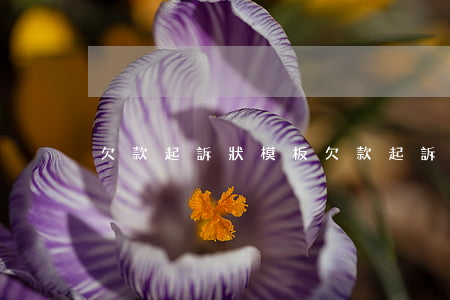 欠款起訴狀模板(欠款起訴狀模板)