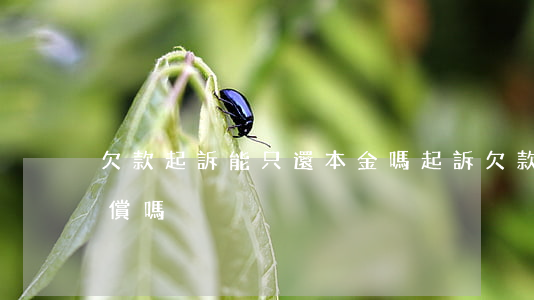 欠款起訴能只還本金嗎(起訴欠款可以要求賠償嗎)