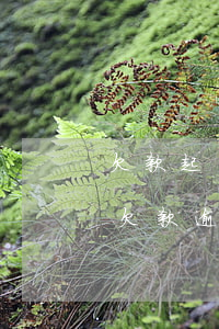 欠款起訴要求支付逾期利息嗎(法院判決明確欠款,逾期利息有哪些規(guī)定?)