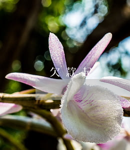 欠款起訴請律師多少錢(欠款糾紛律師費多少錢)