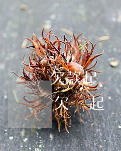 欠款起訴費(fèi)用如何計(jì)算(欠錢起訴費(fèi)用要多少)