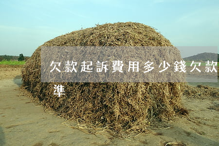 欠款起訴費用多少錢(欠款法院訴訟費收費標準)