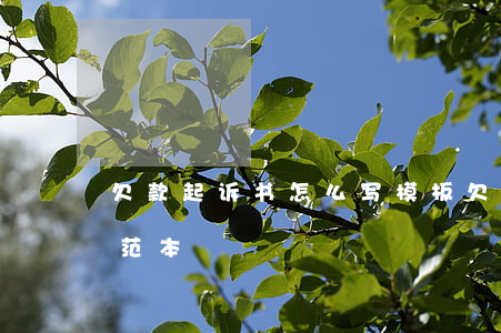欠款起诉书怎么写模板(欠货款起诉书怎么写范本)