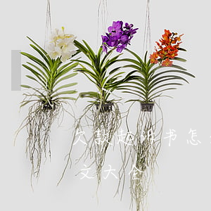 欠款起诉书怎么写范文(欠款起诉书怎么写范文大全)