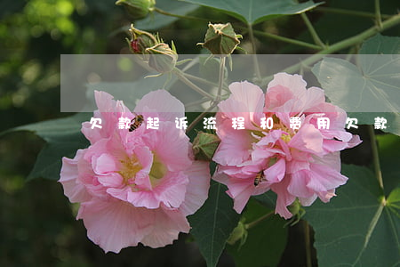 欠款起诉流程和费用(欠款起诉流程)
