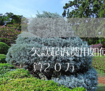 欠款起诉费用如何计算,欠款起诉费用如何计算20万 欠款起诉费用如何计算,欠款起诉费用如何计算20万