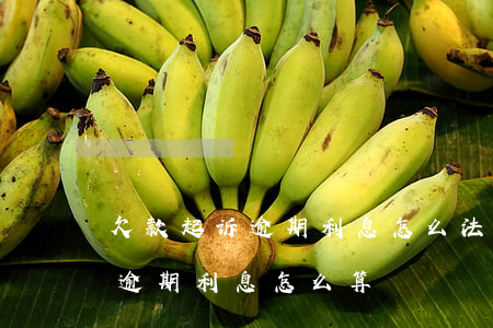 欠款起诉逾期利息怎么(法院起诉欠款利息及逾期利息怎么算?)