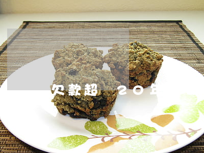 欠款超過20年怎么辦（債務逾期20年怎么辦）