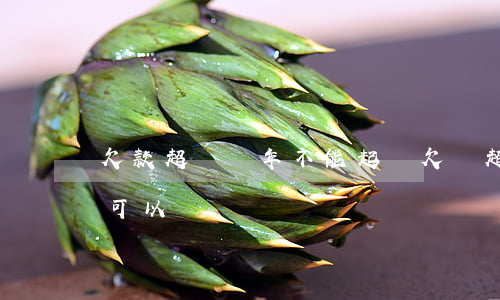欠款超過幾年不能起訴(欠錢超過兩年了起訴可以嗎)