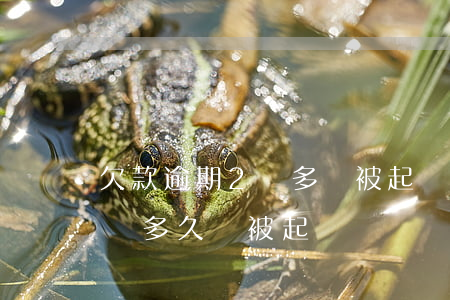 欠款逾期2萬多塊被起訴概率多少-逾期2萬多久會被起訴