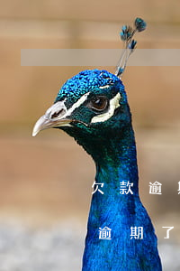 欠款逾期一天收到七八十個(gè)電話-逾期了天天打電話短信